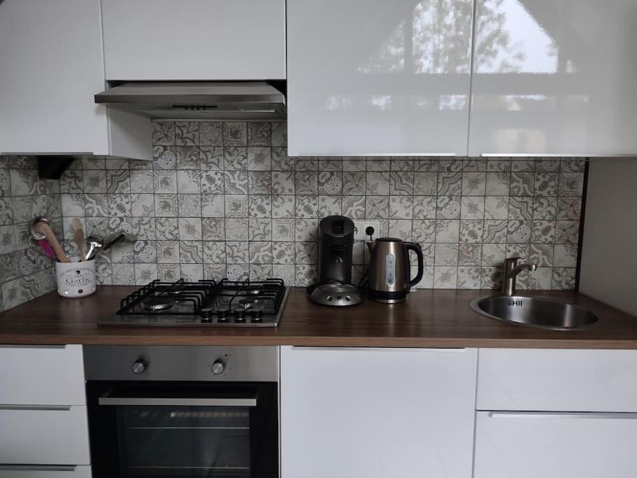 Vrijstaande Recreatiebungalow Met Slaapvide Posterholt エクステリア 写真
