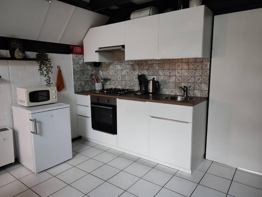 Vrijstaande Recreatiebungalow Met Slaapvide Posterholt エクステリア 写真